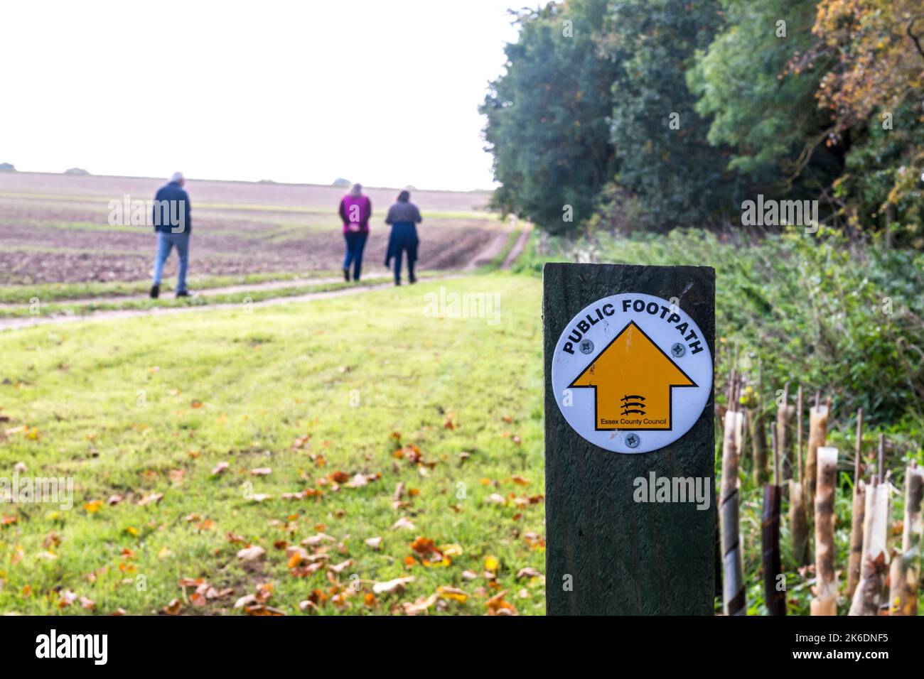 People on a country walk in Essex during autumn along a Public Footpath with an Essex County Council waymarking sign. Stock Photo