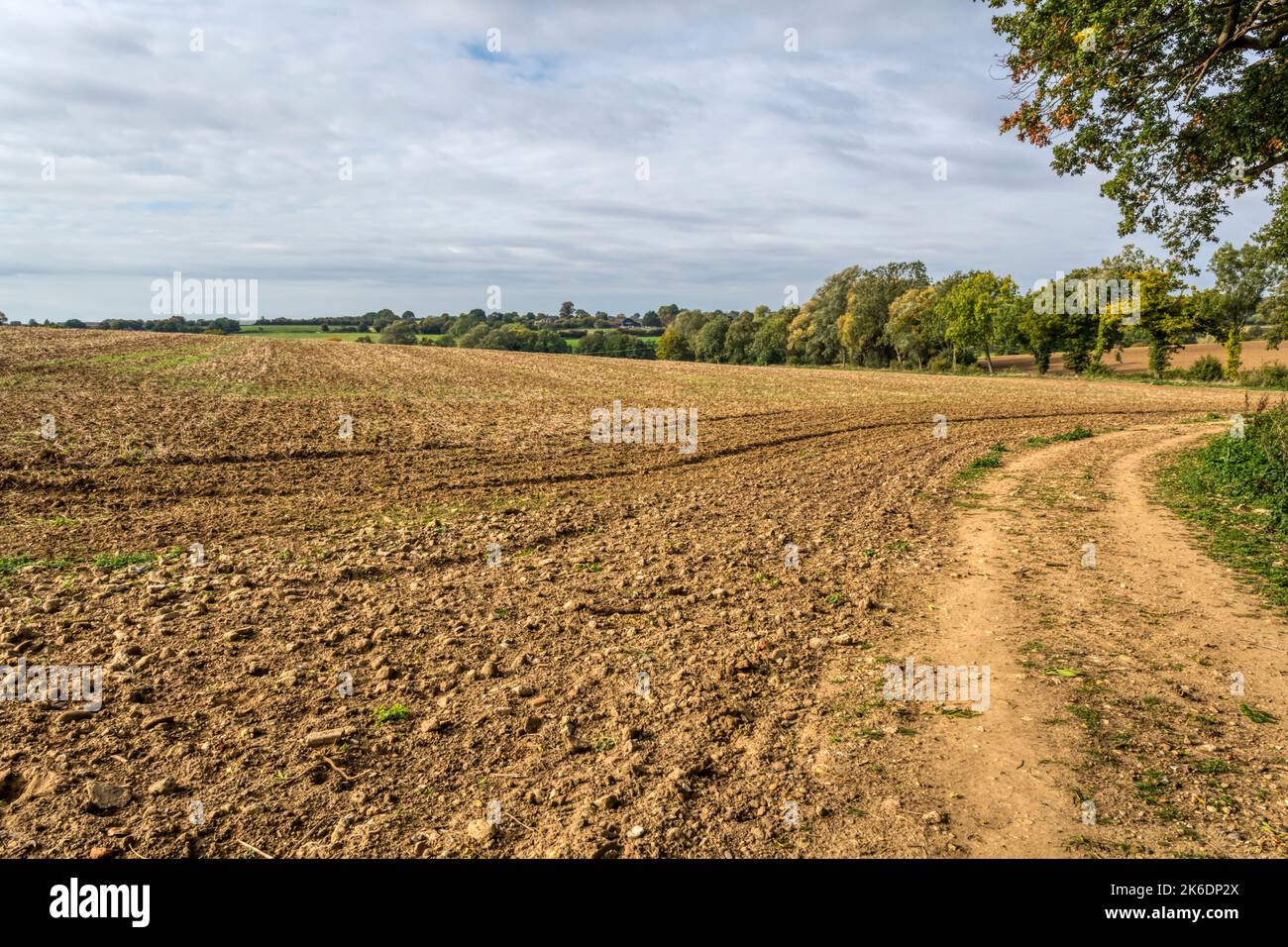 Agricultural land near Braintree in Essex, classed as Grade 3 Good to