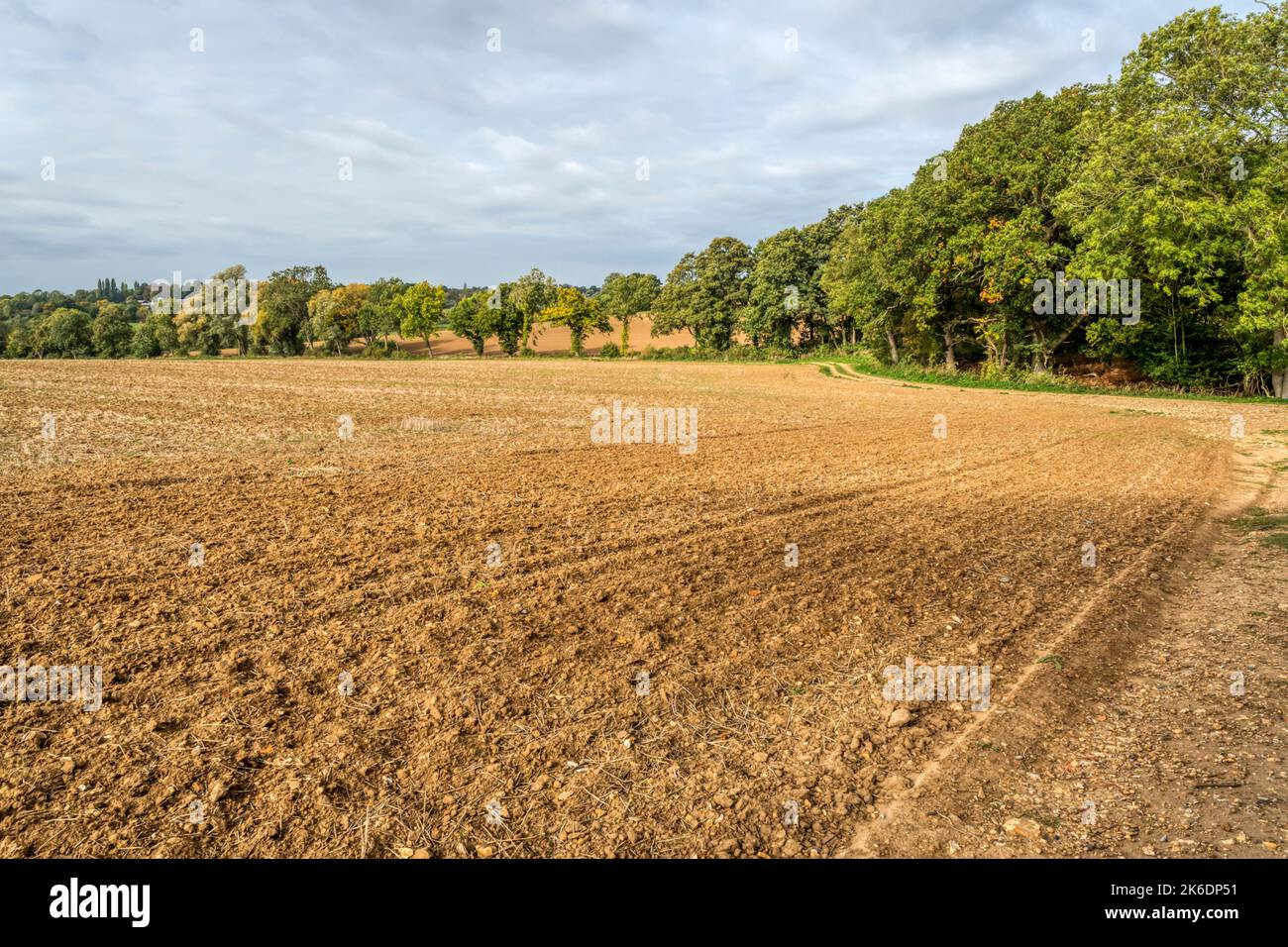 Agricultural land near Braintree in Essex, classed as Grade 3 Good to Moderate in the Agricultural Land Classification of England and Wales. Stock Photo