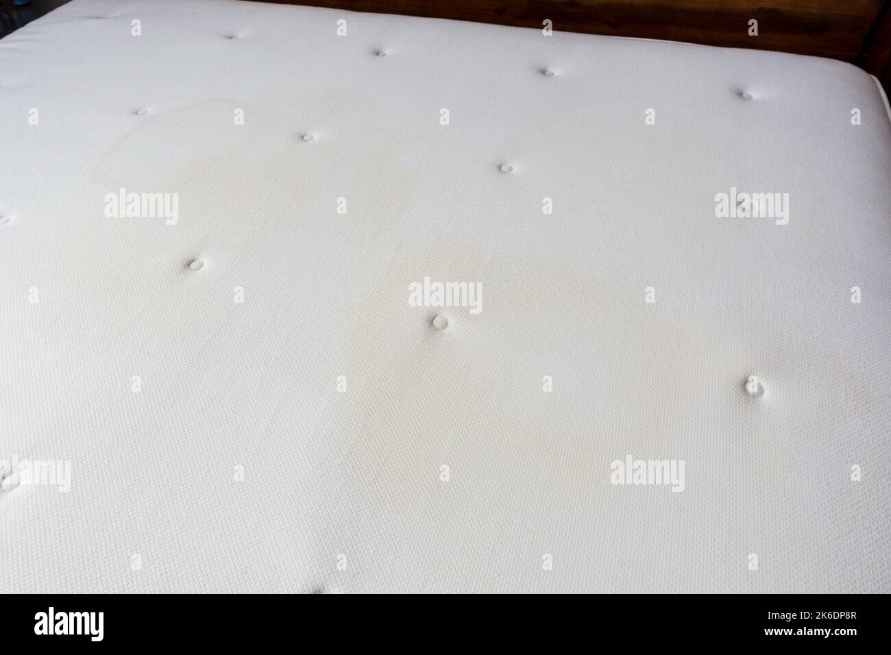 Cleaning a soiled bed mattress Stock Photo