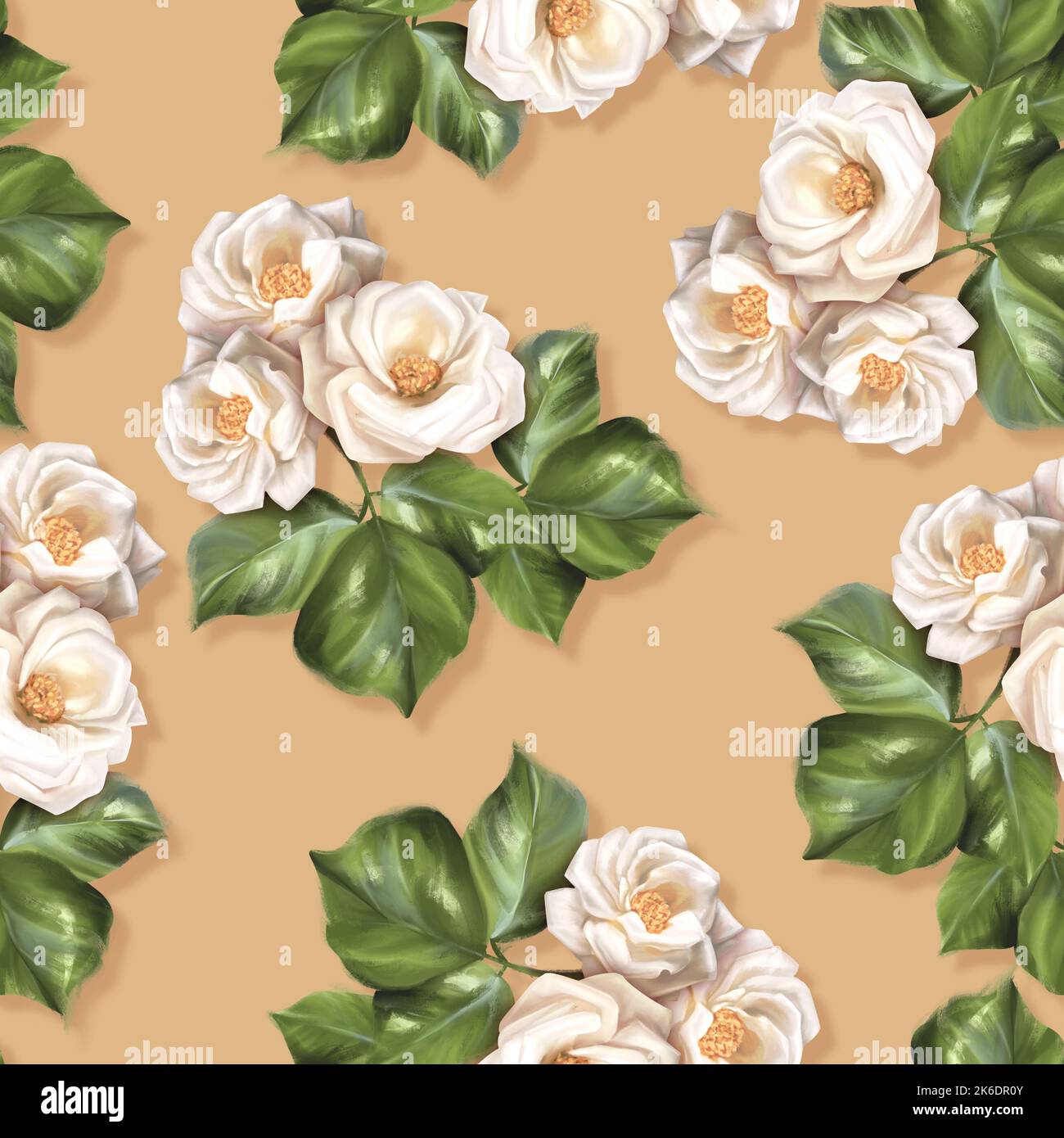 Seamless pattern of white rose flowers. Floral background for wallpaper ...