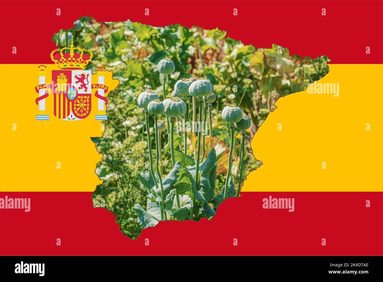 Outline map of Spain with the image of the national flag. Image of a ...