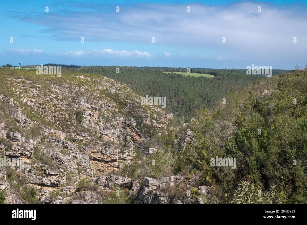 Panoramic view from a mountain top of a forest area with a green clearing surrounded by trees on a beautiful sunny day. Natural landscape Stock Photo
