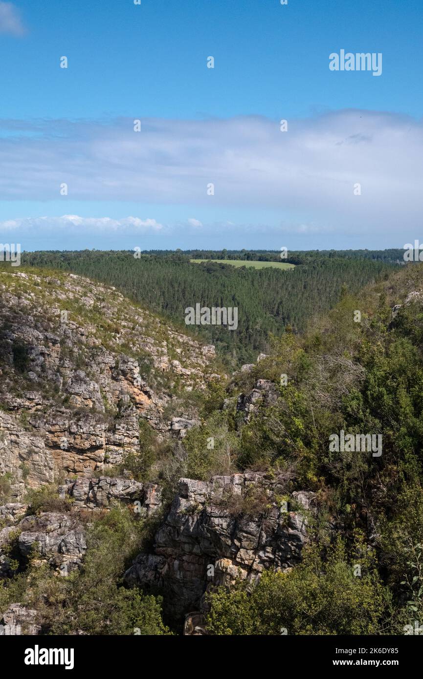 Panoramic view from a mountain top of a forest area with a green clearing surrounded by trees on a beautiful sunny day. Natural landscape Stock Photo