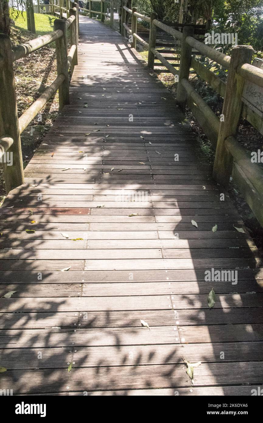 a natural wooden and leafy walkway with supporting wooden frame with leading lines Stock Photo