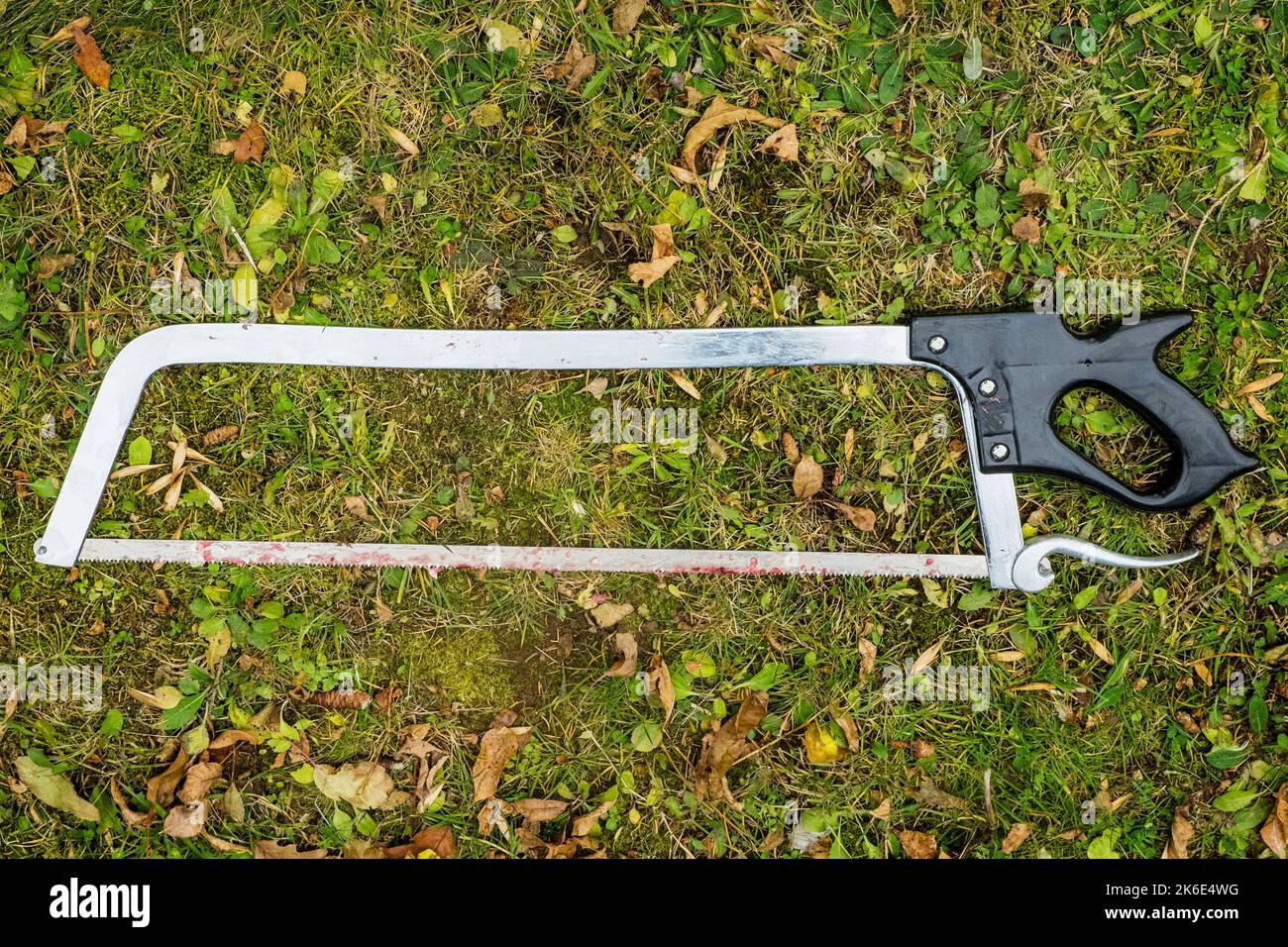 A top view of a metal meat saw with a black handle on the grass Stock Photo Alamy