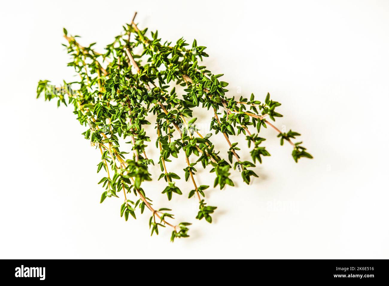 A closeup shot of Thyme herb on a white background Stock Photo Alamy
