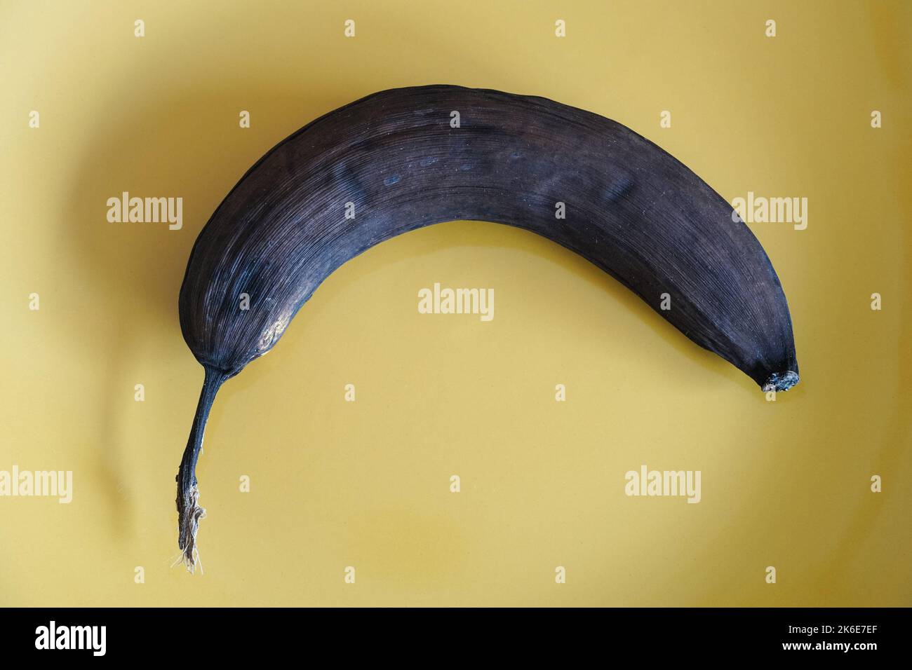 Old single overripe banana peel turned black Stock Photo