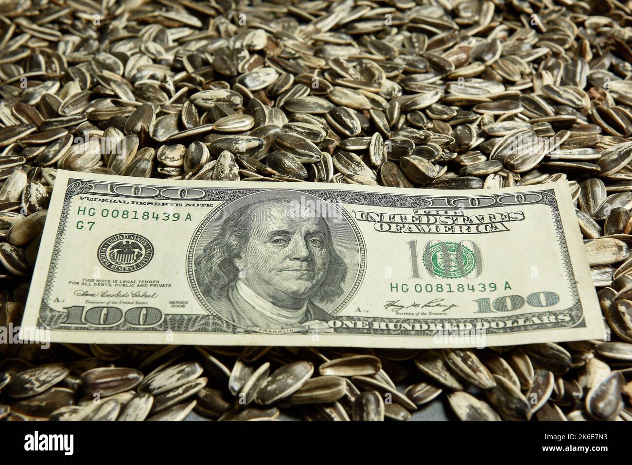 Dollars banknotes and sunflower seeds, oleaginous Commodity value
