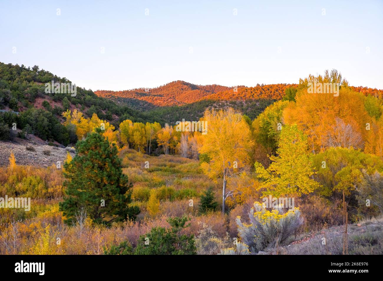 Santa Fe Canyon Preserve, New Mexico, USA, autumn colors, leaves