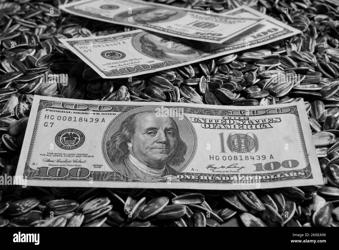 Soybean plant Black and White Stock Photos & Images Alamy