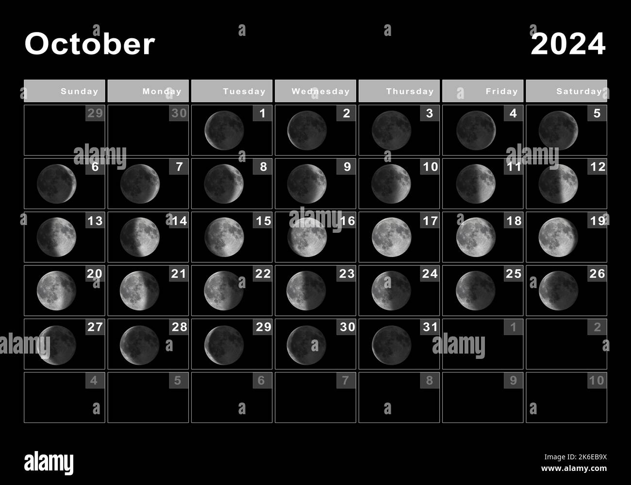 New Moon 2025 October 1 Dahlia Rose