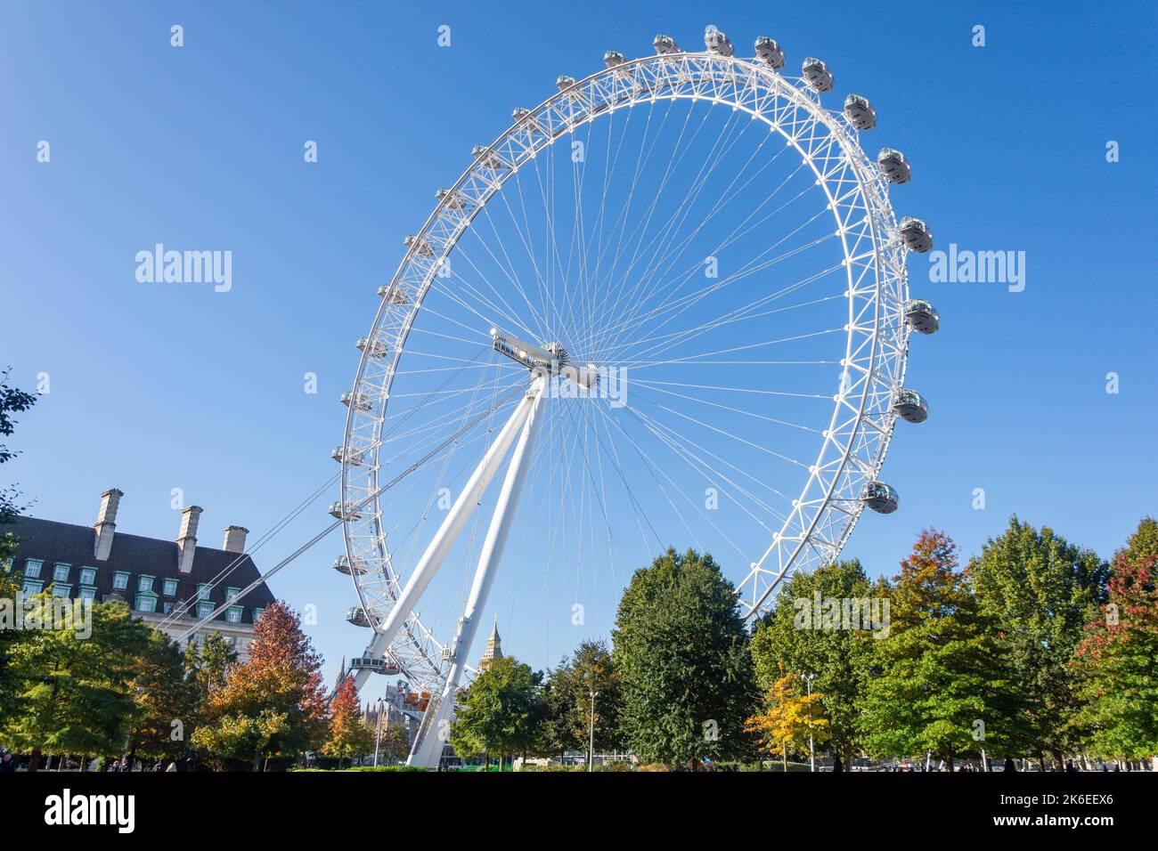 London Eye (Millennium Wheel) from Jubilee Gardens, London Borough of Lambeth, Greater London, England, United Kingdom Stock Photo