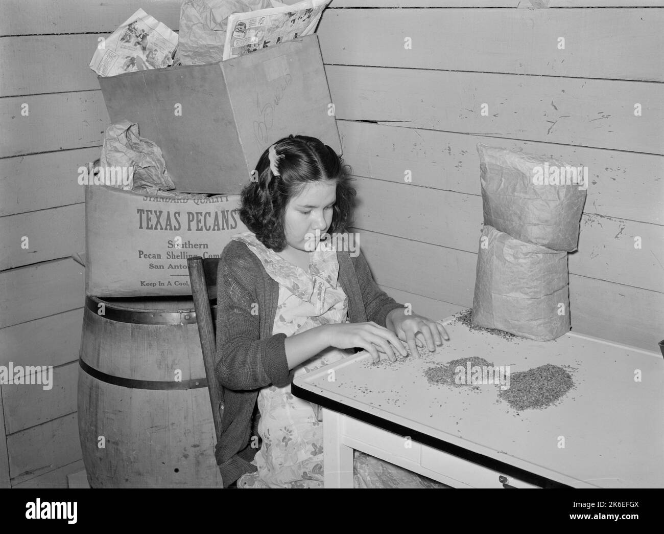 Mexican girl removing shells from small pieces of pecan nuts ca. 1939
