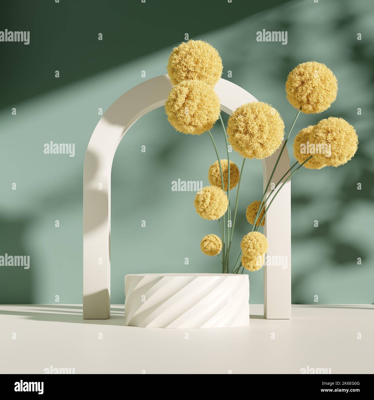 A 3d display podium pastel green background with billy buttons flowers Stock Photo