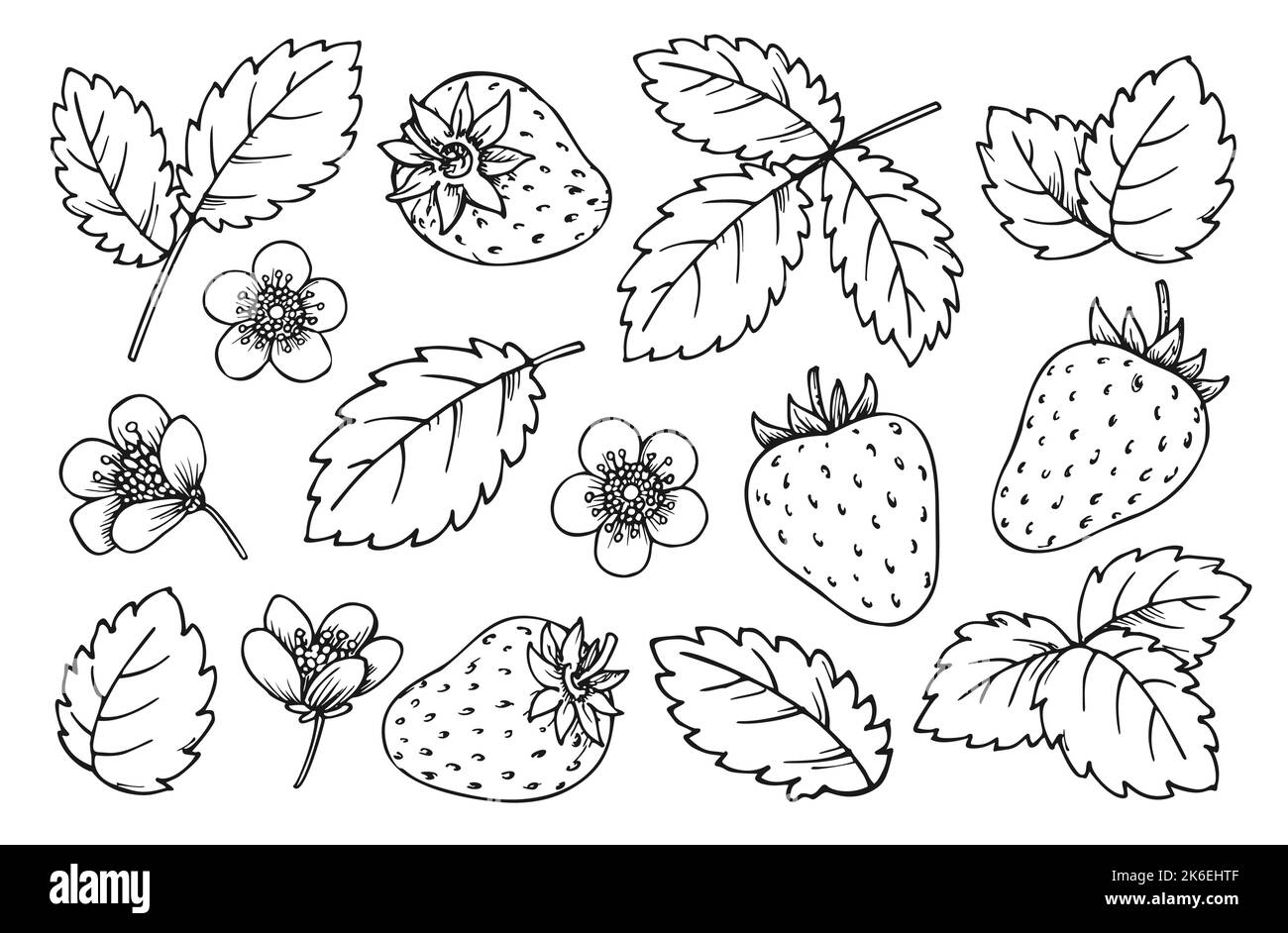 Strawberry line set. Black and white berries leaves flowers. Hand drawn strawberries for coloring book page, scrapbook stencil, foil diy card, nail stamp, laser engraving, badge pin, fruit tag label Stock Vector