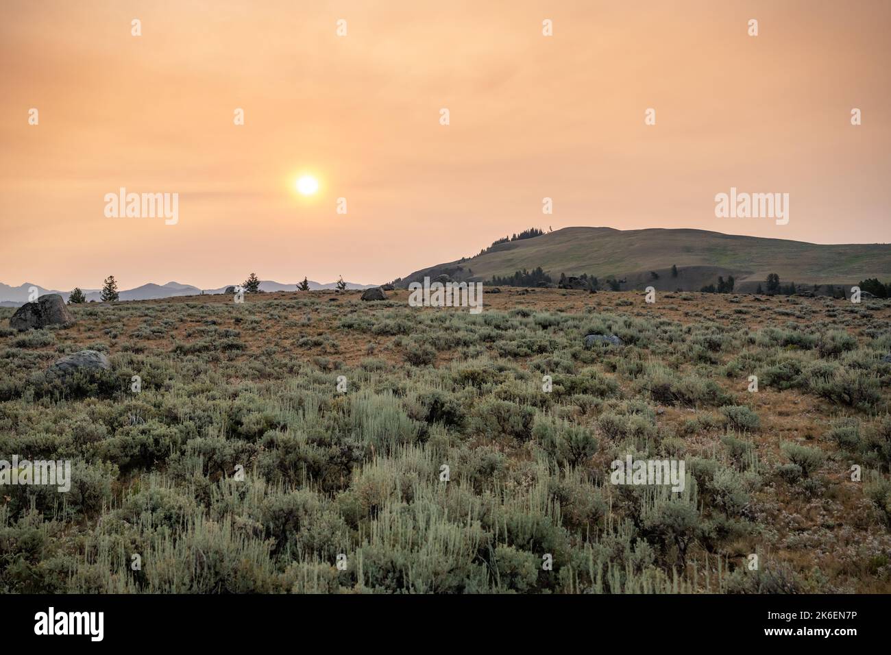Smoke Hangs Over Specimen Ridge Trail In Yellowstone National Park