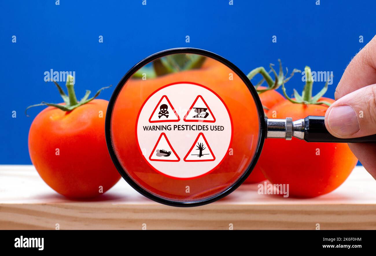 Magnified label on tomato, warning of environmental damage caused by pesticide and herbicide use in industrial agricultural food production, Cop27 Stock Photo