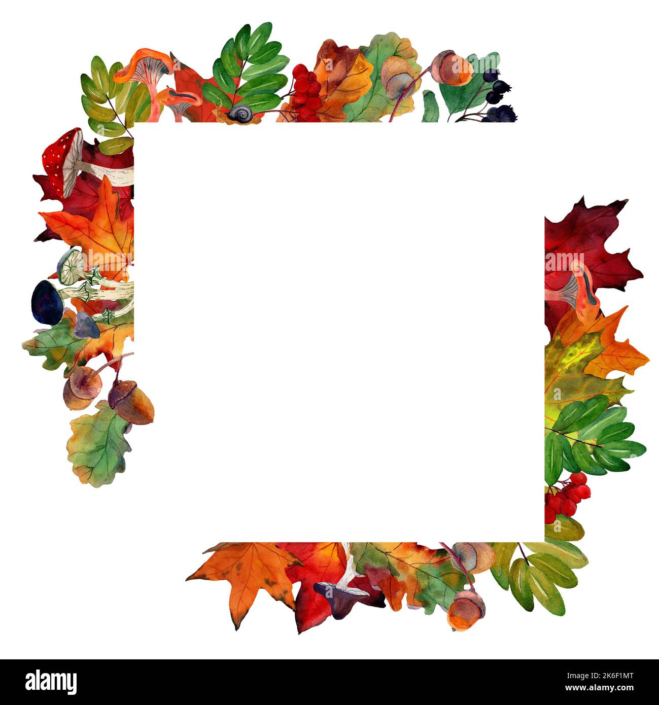 Watercolor draw of maple leaves and mushrooms in ornamental border. Frame with autumn rowan, acorns isolated on background. Template for offer, invite Stock Photo