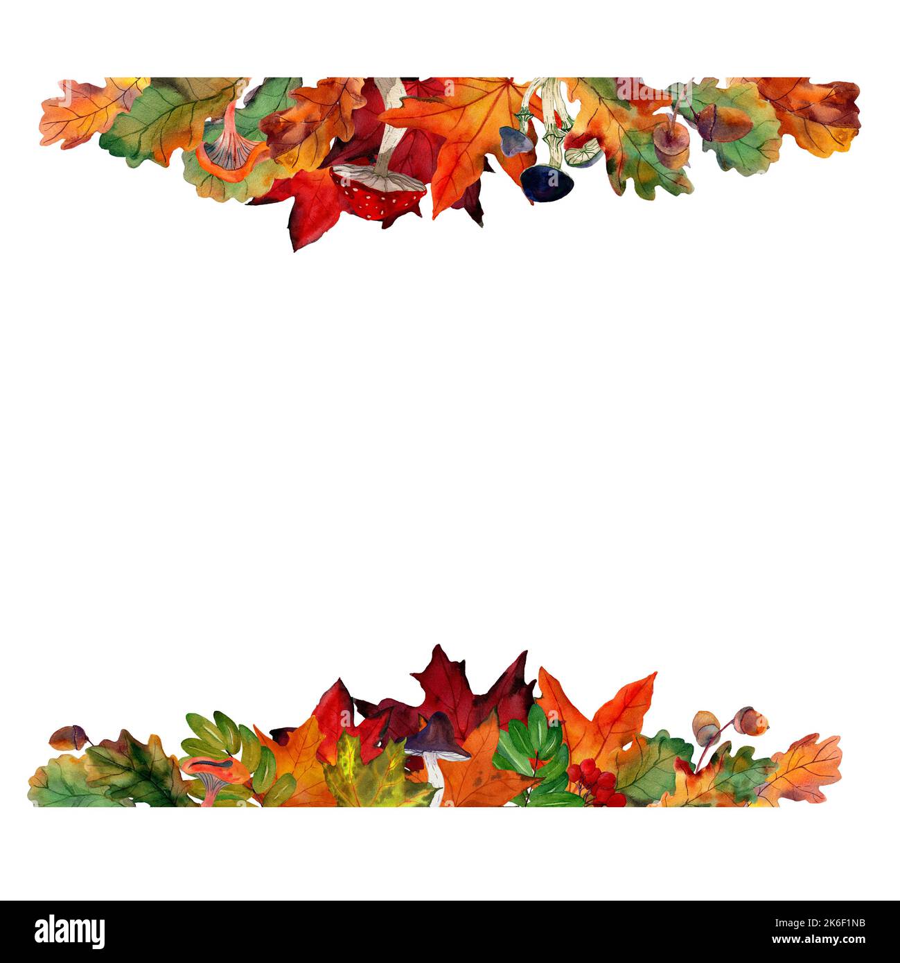 Watercolor draw of maple leaves and mushrooms in ornamental border. Frame with autumn rowan, acorns isolated on background. Template for offer, invite Stock Photo