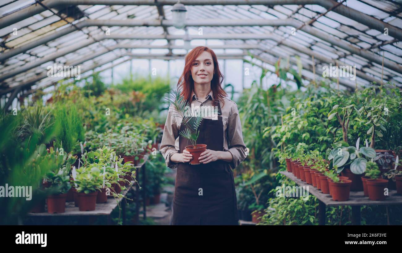 Portrait of beautiful young woman female farmer in apron standing ...