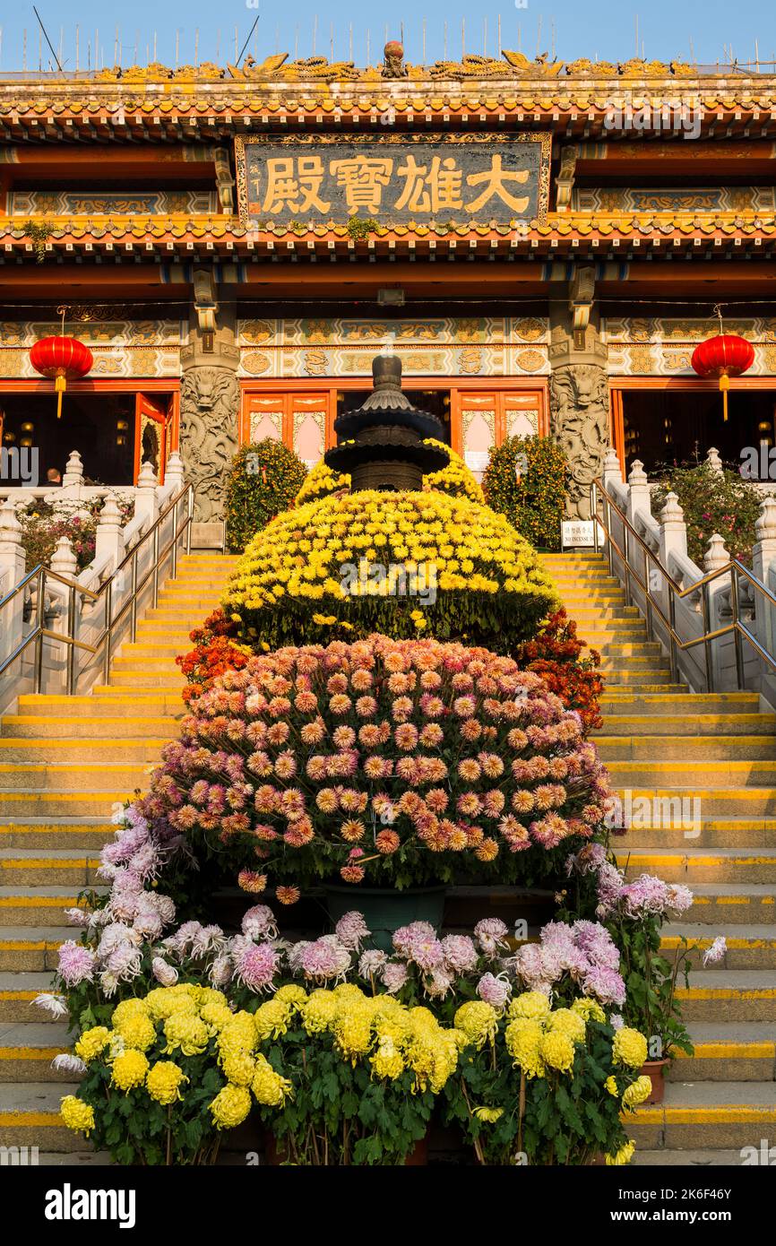 Chrysanthemums and kumquats decorate the entrance of the Main Shrine Hall of Buddha for Chinese New Year at Po LIn Monastery, Lantau Island, Hong Kong Stock Photo