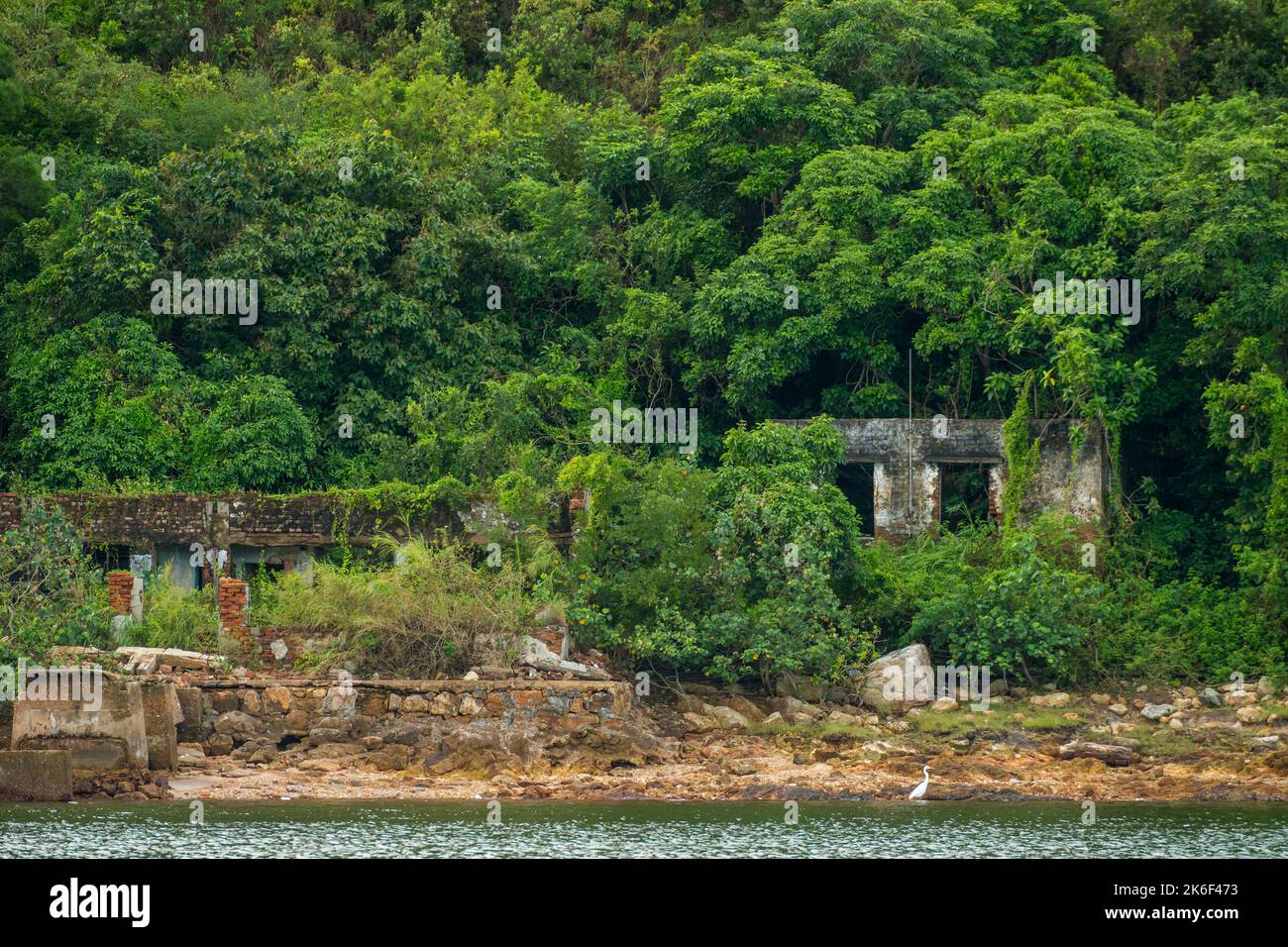 Abandoned buildings of a former pearl oyster farm in Lo Fu Wat, a secluded cove on the northern shore of Tolo Channel, New Territories, Hong Kong Stock Photo