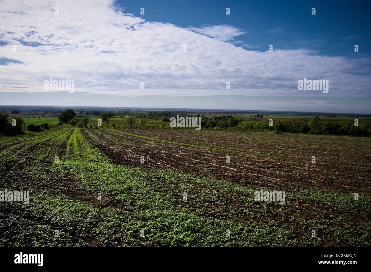 Cultivated farm land hi-res stock photography and images - Alamy