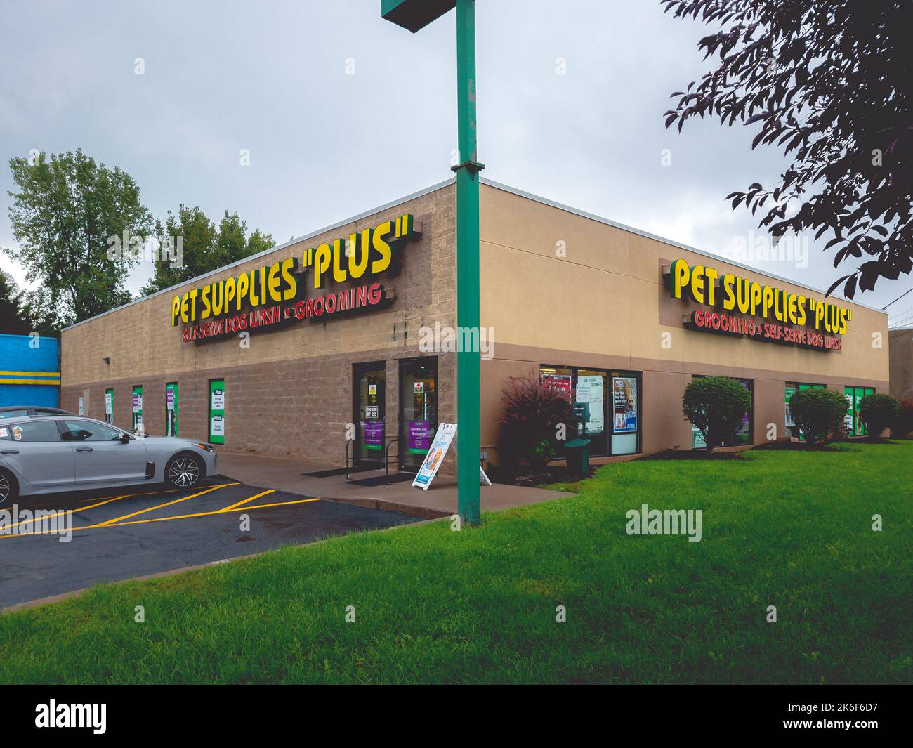 Pet supplies plus stock hotsell