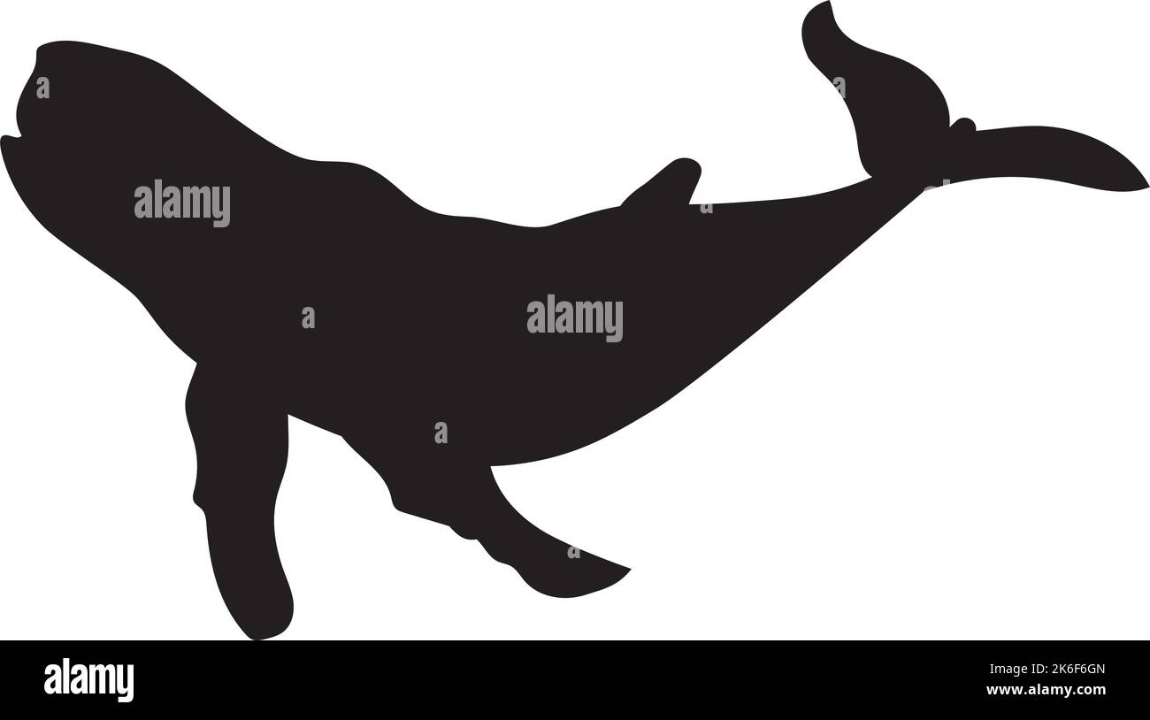 whale sealife animal silhouette Stock Vector Image & Art - Alamy