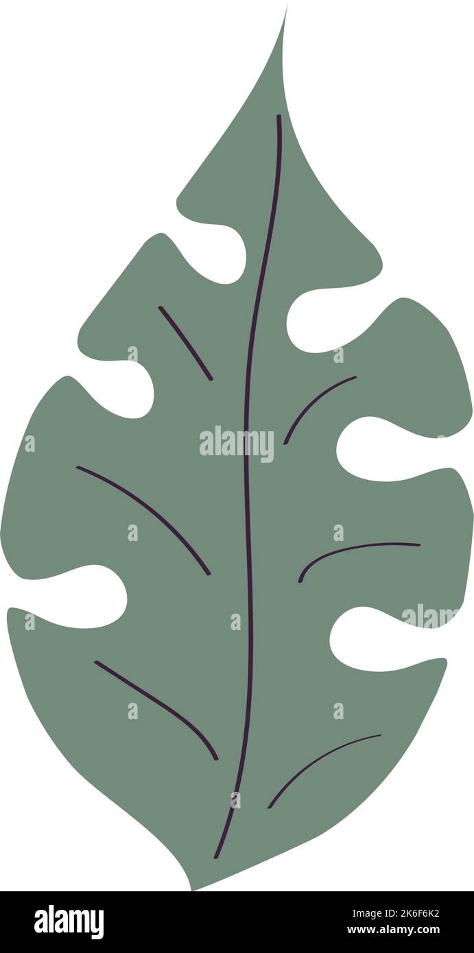 leaf plant foliage Stock Vector Image & Art - Alamy