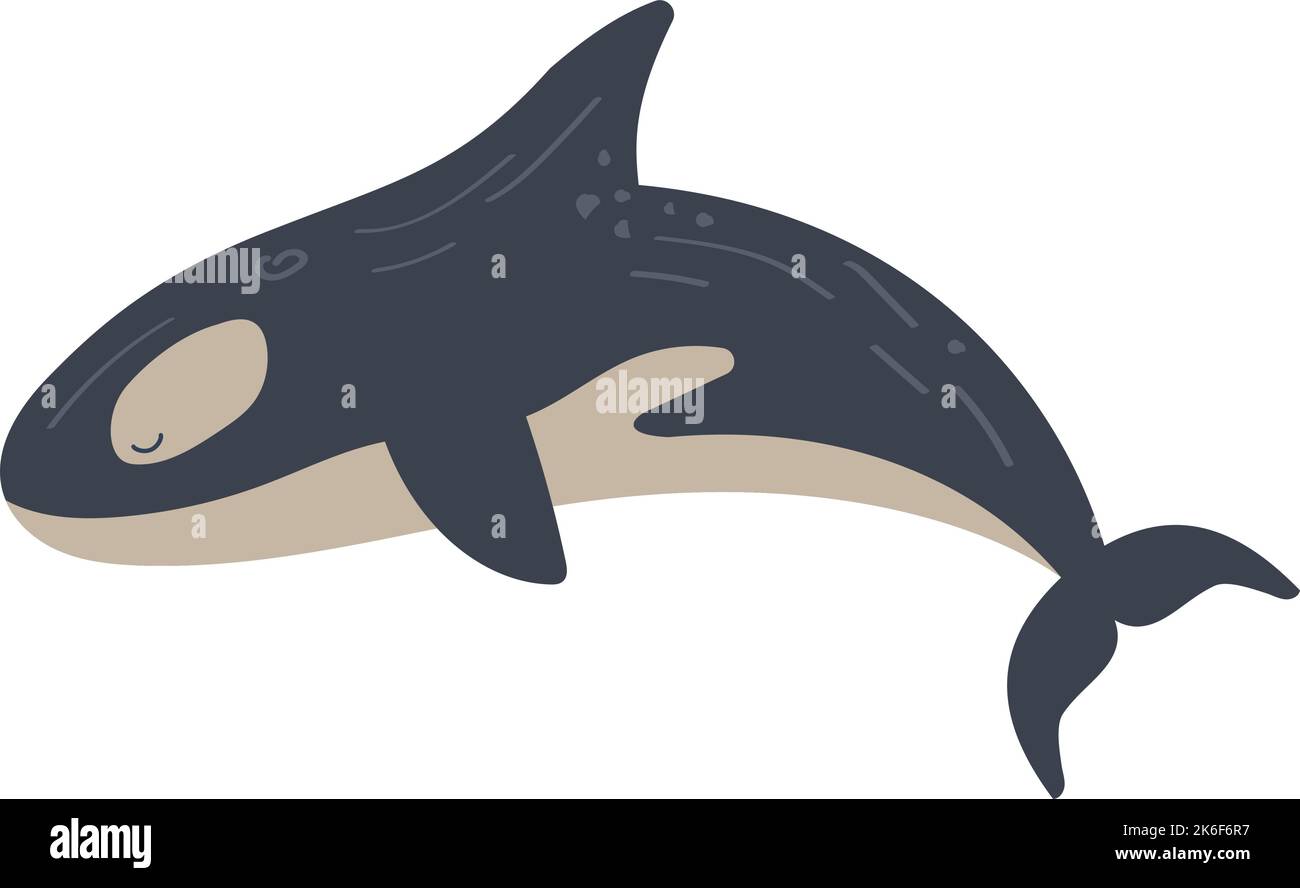 killer whale sealife animal Stock Vector Image & Art - Alamy