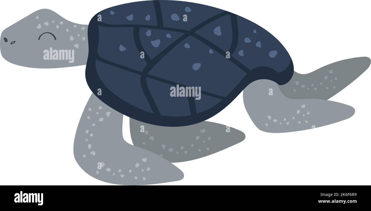 turtle sealife animal Stock Vector Image & Art - Alamy
