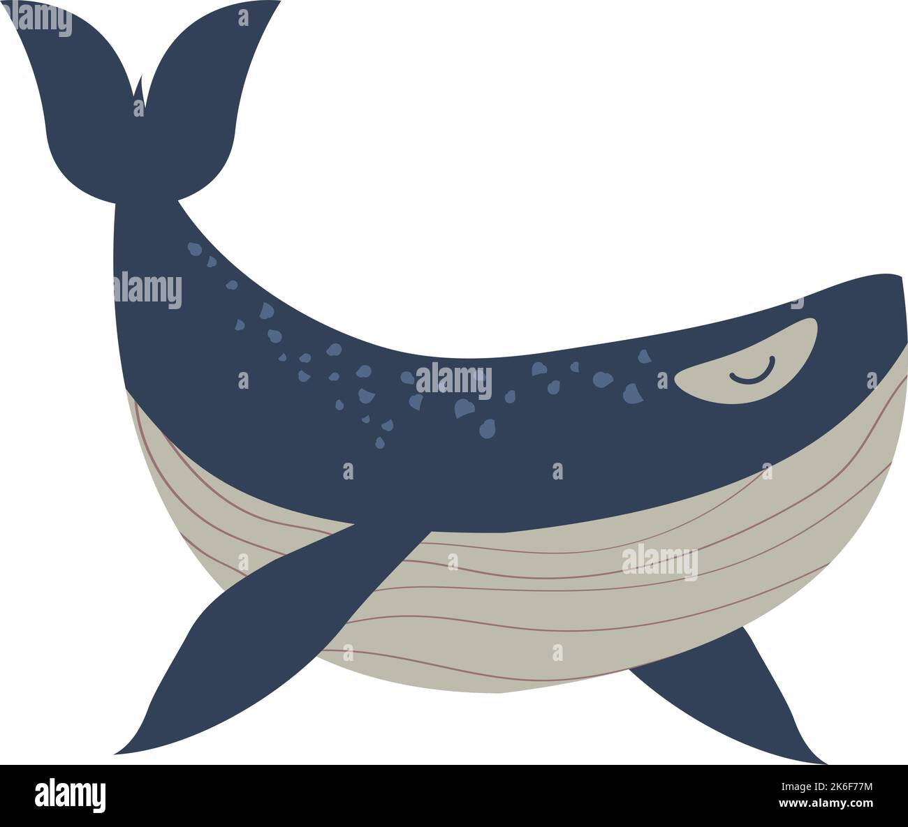 whale sealife animal Stock Vector Image & Art - Alamy