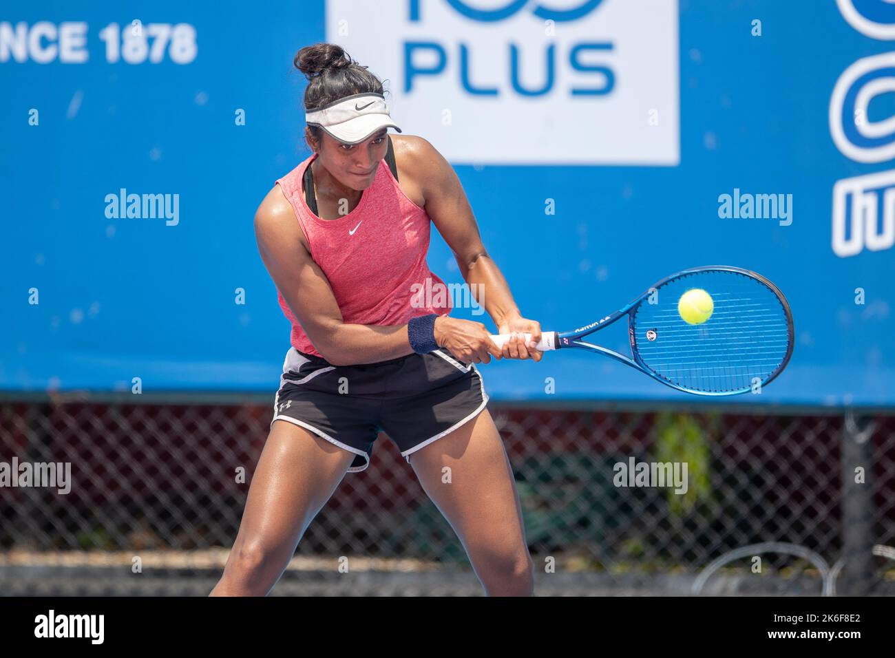 Daria kudashova hi-res stock photography and images - Alamy
