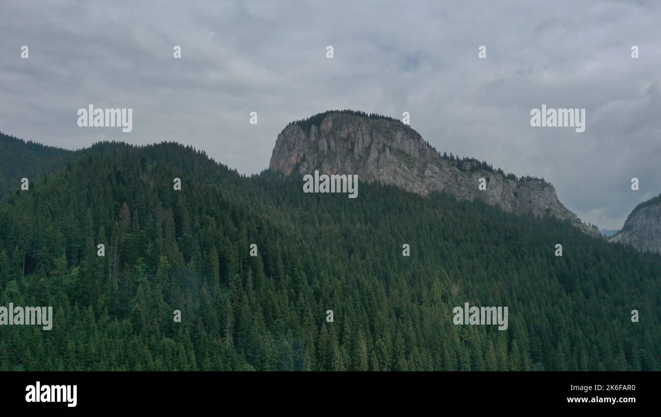 A landscape view of the rock surrounded by fir forest trees on a ...