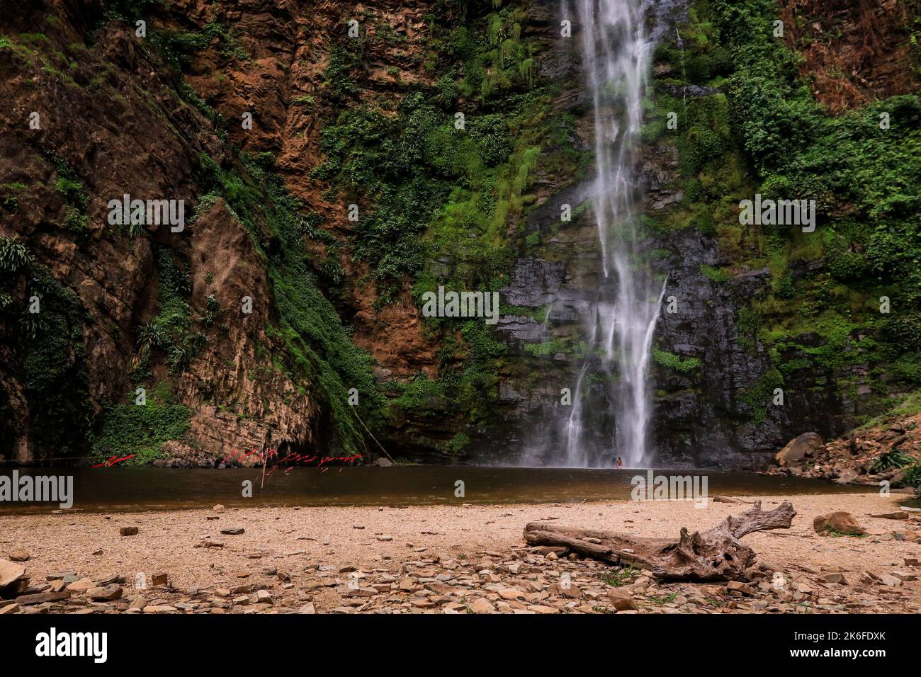 View to the Wli Waterfalls, the highest waterfall in Ghana and the tallest in West Africa Stock Photo