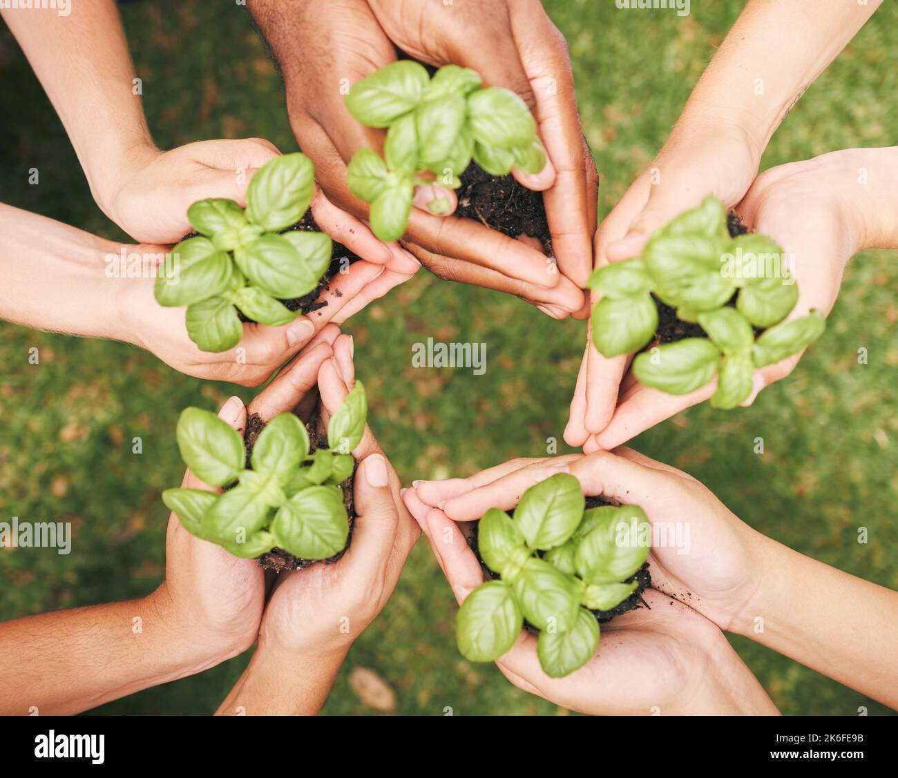 Environment, earth day and hands of a global community using teamwork, collaboration and diversity for sustainability. Carbon capture, accountability Stock Photo