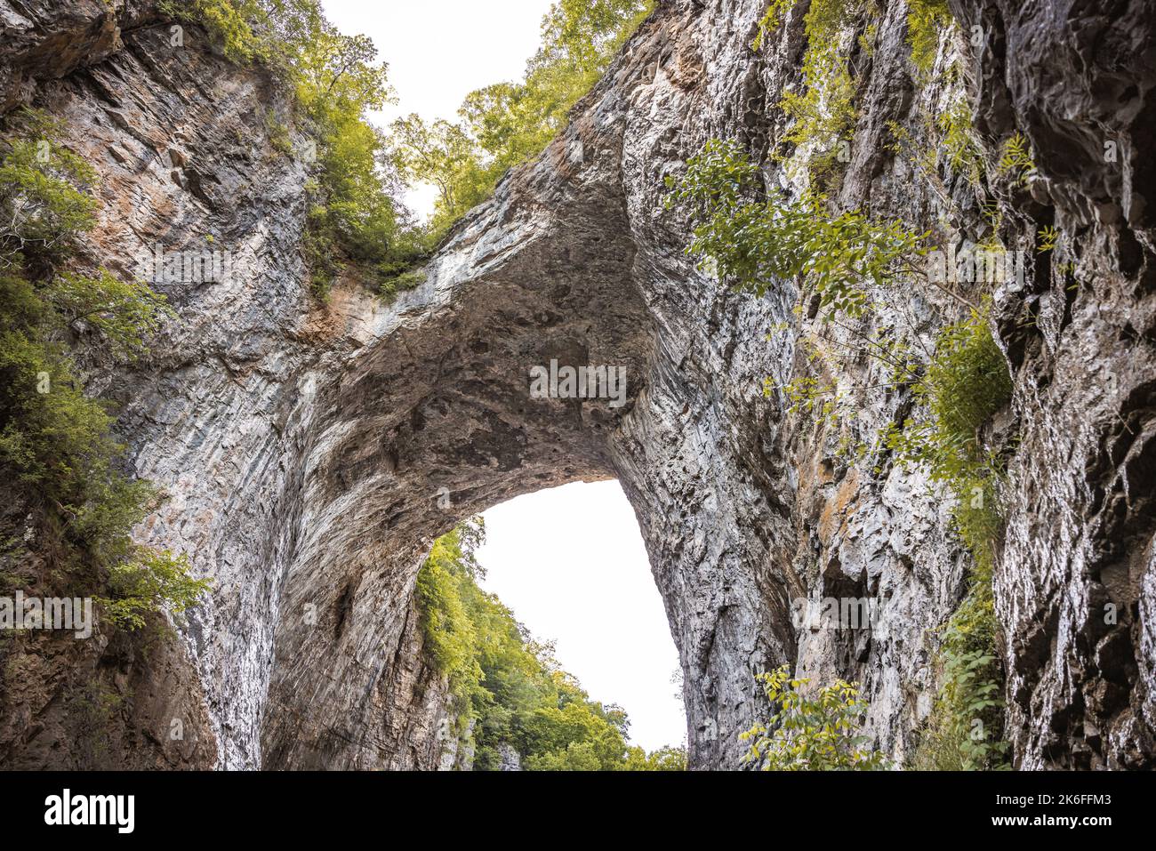 A low angle shot of the Natural Bridge rock formation at Natural Bridge