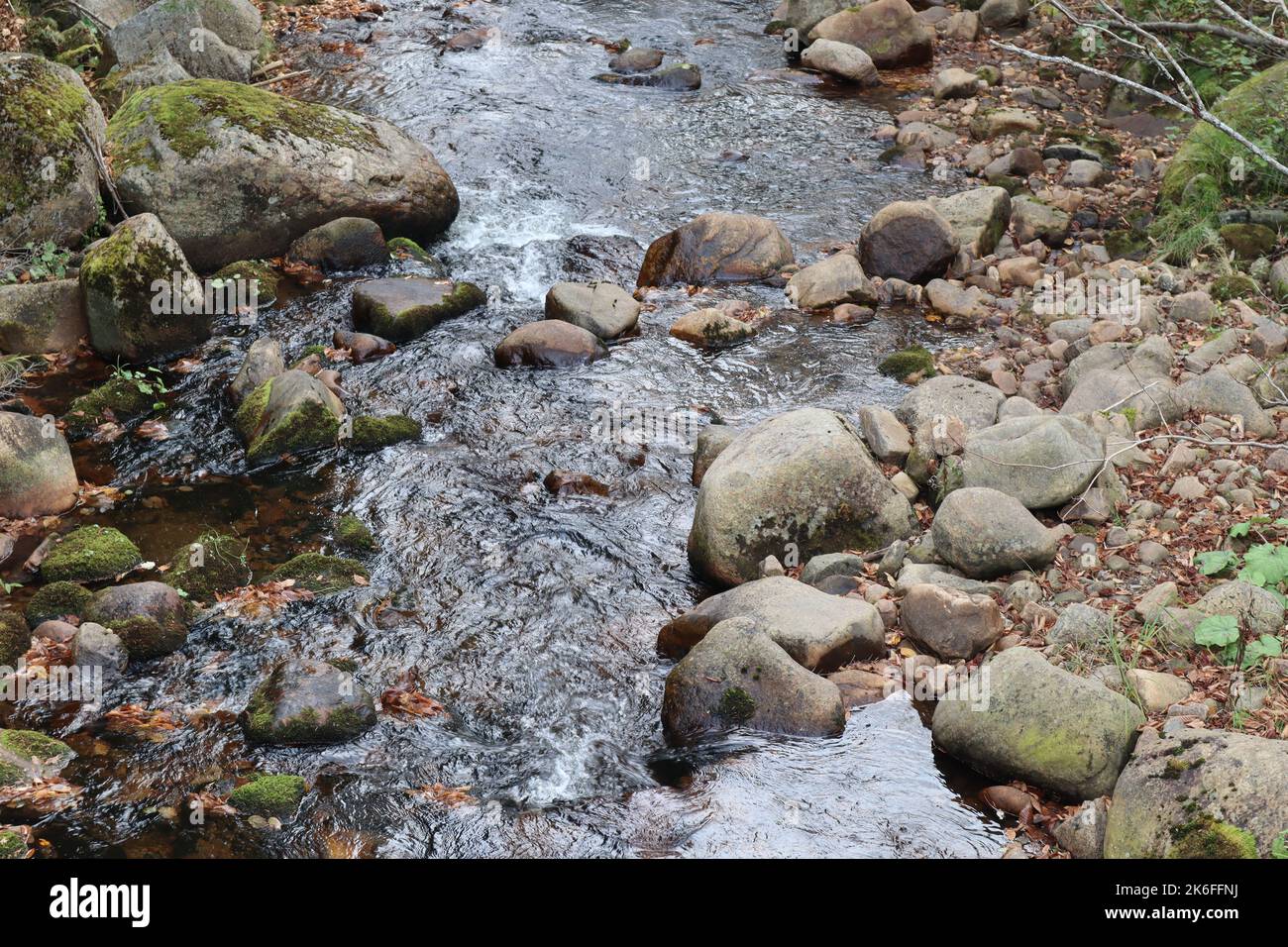 The flowing water of the rocky river in the woods Stock Photo - Alamy