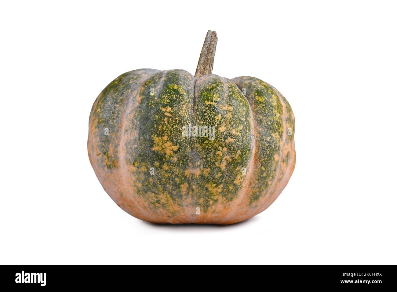 Single green and orange 'Musquee de Provence' pumpkin on white background Stock Photo
