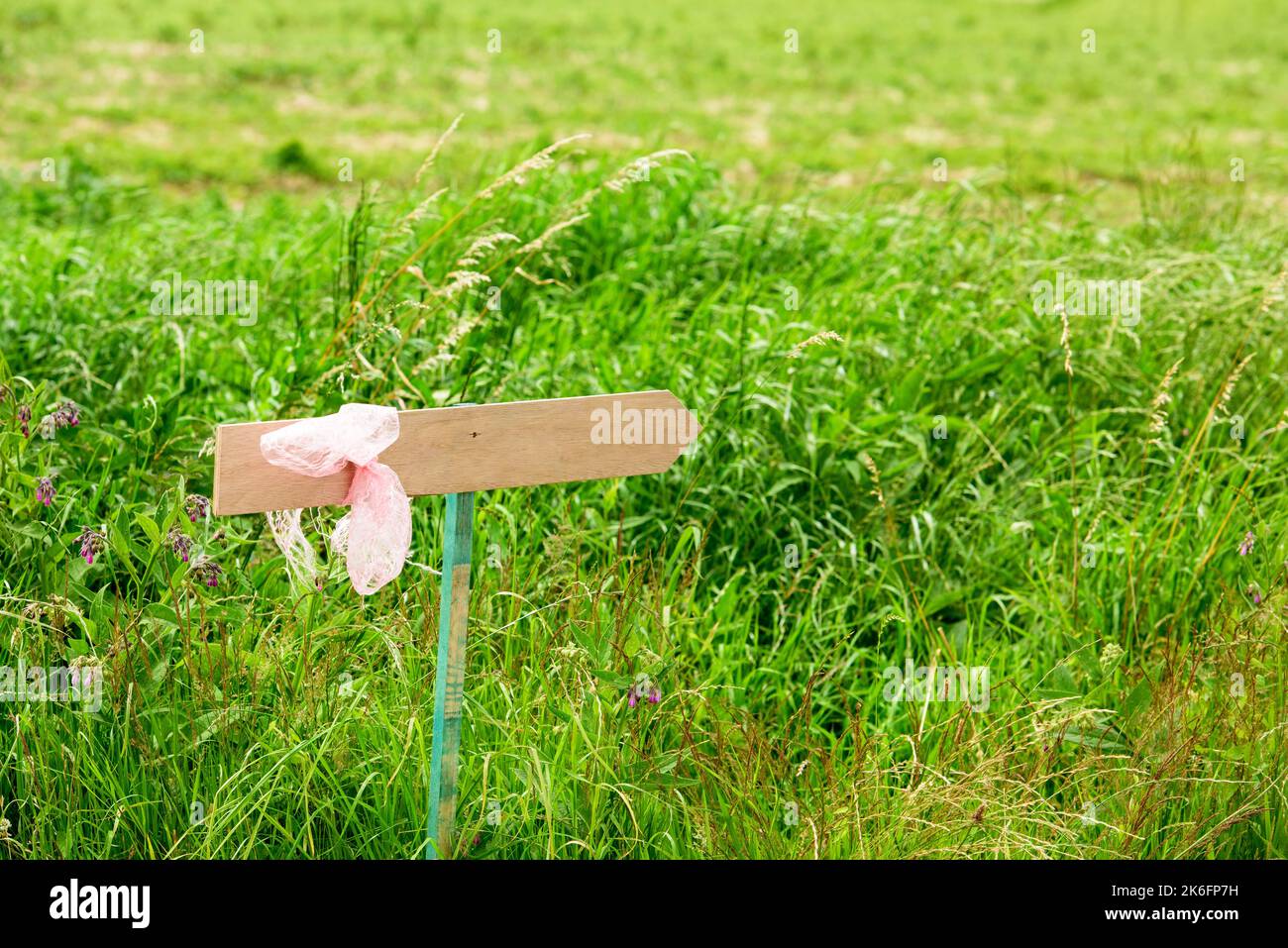 wooden arrow, where you can put text on with pink ribbon against a defocussed grassland with wild flowers Stock Photo