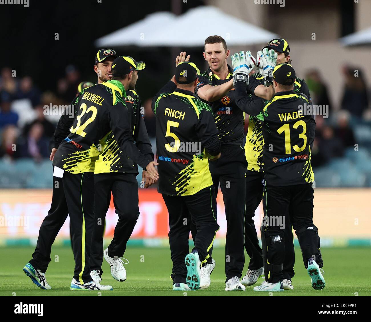 Josh Hazlewood'S Worst Nightmare: A T20I Disaster For Australia - 6pkt0xr