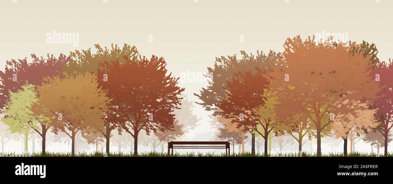 bench in the park among autumn golden trees Stock Photo