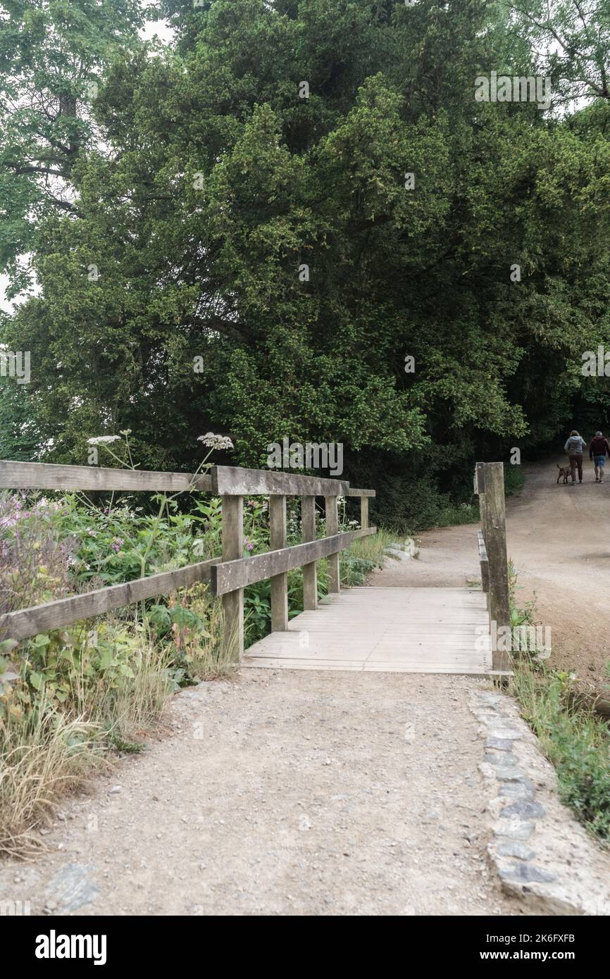 A group of people walking on Trentham Gardens park pathway by green ...
