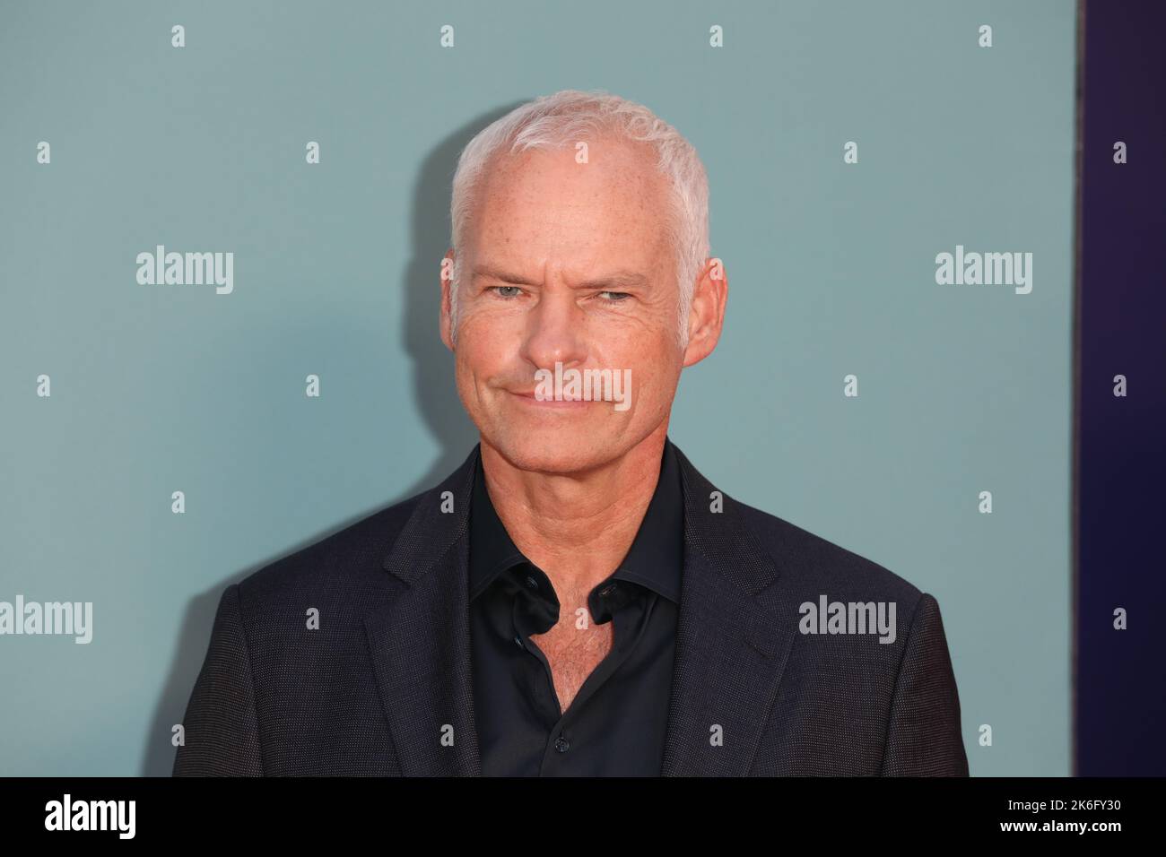 Martin McDonagh attends the film premiere of 'The Banshees of Inisherin ...