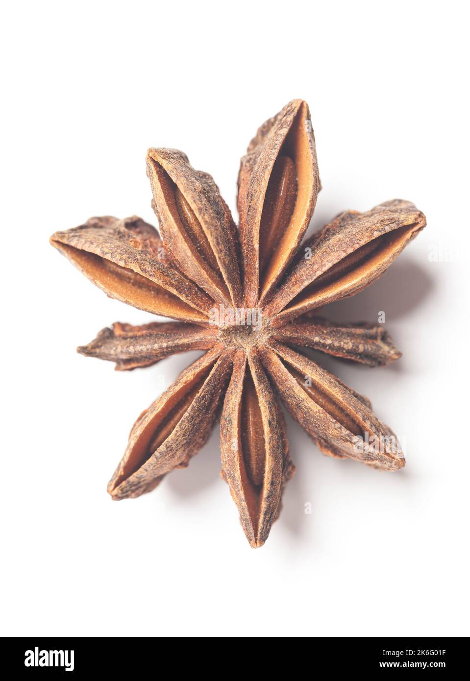 A group of star anises isolated on white background. Dried star anise spice fruits Stock Photo