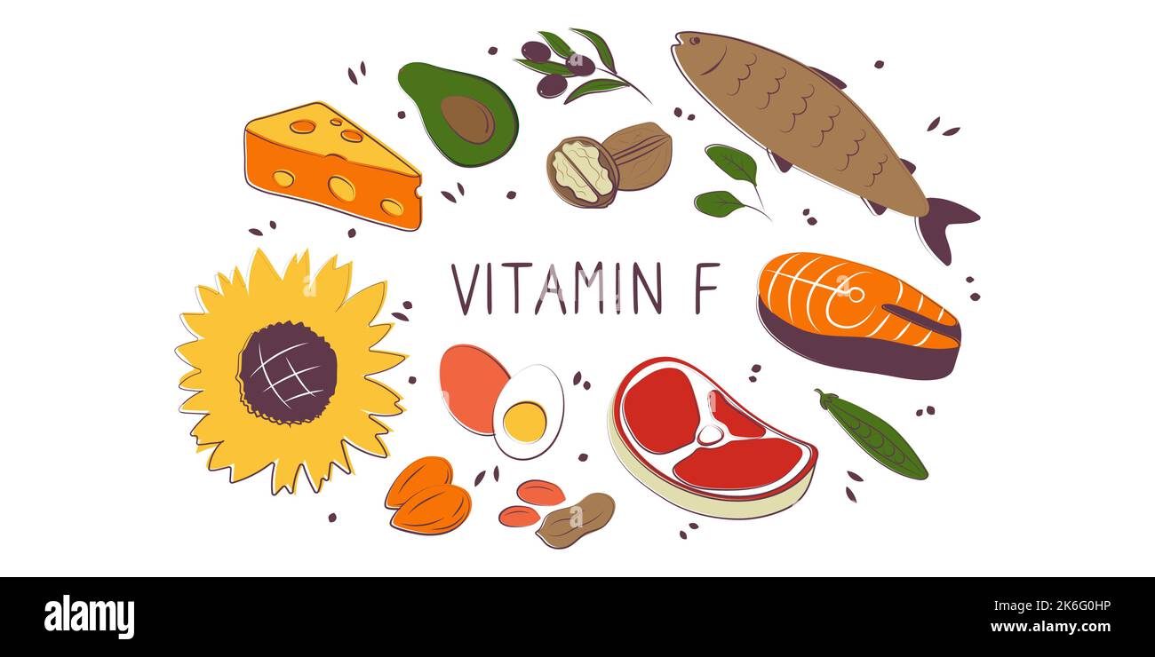 Vitamin F linoleic linolenic Acid. Groups of healthy products