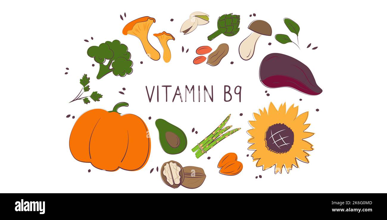 Vitamin B9 folic acid. Groups of healthy products containing vitamins