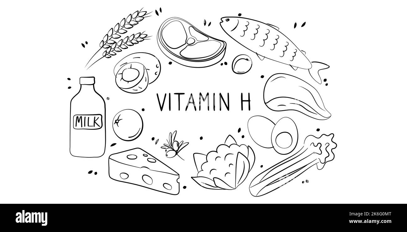 Vitamin H Biotin. Groups of healthy products containing vitamins. Set of fruits, vegetables, meats, fish and dairy. Stock Vector